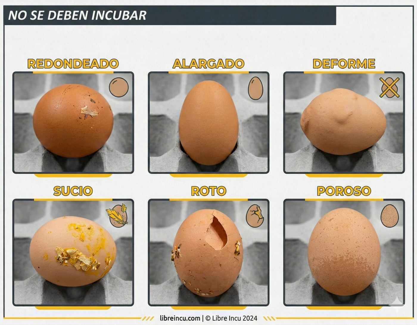 Ejemplos de huevos que no se deben incubar